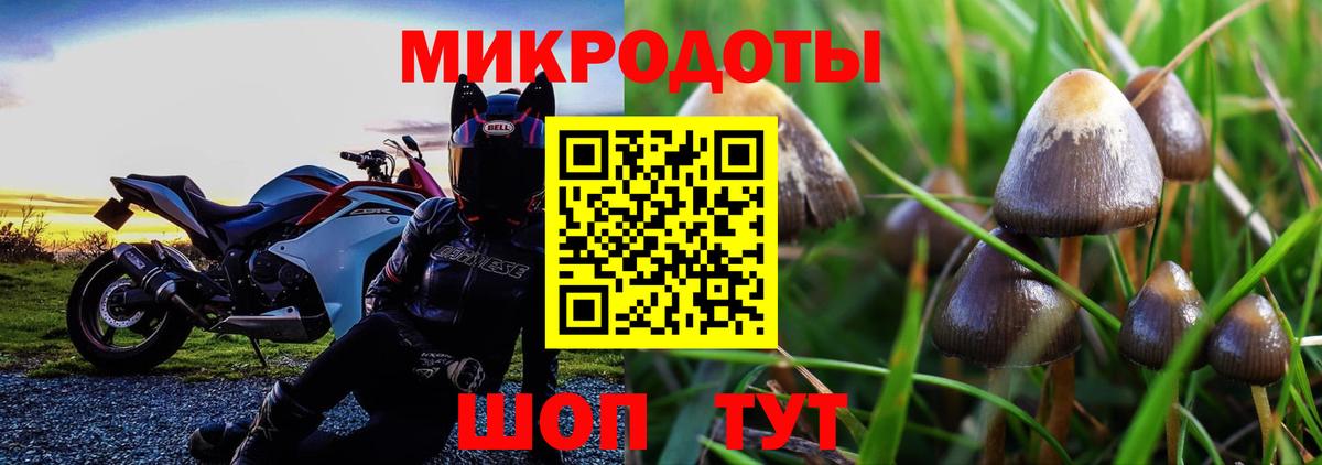 Изобильный  дарнет шоп  Вход с VPN  Псилоцибиновые грибы Psilocybe 