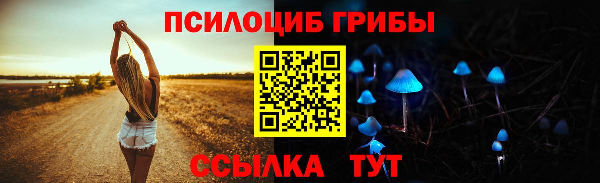 Псилоцибиновые грибы GOLDEN TEACHER Изобильный